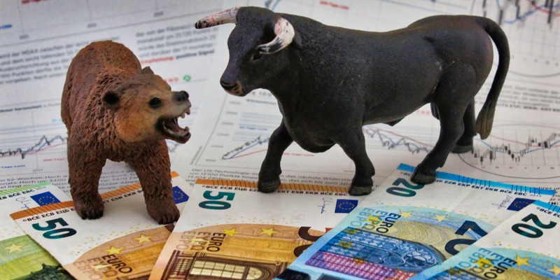 bull-and-bear-7965522_1920.jpg - Foto: THN