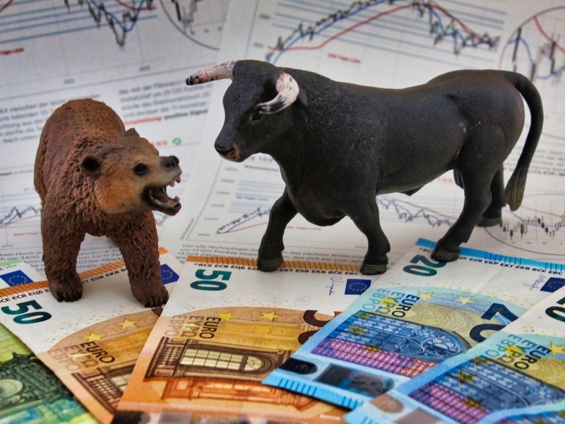 bull-and-bear-7965522_1920.jpg - Foto: THN