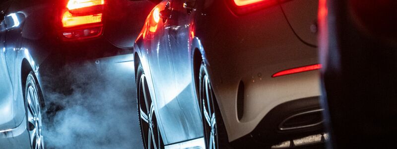 Auch ab 2040 wird es Webers Angaben zufolge kein 100-Prozent-Ziel geben. (Symbolbild) - Foto: Marjian Murat/dpa