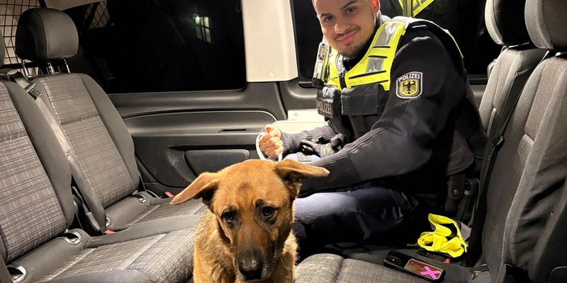 Bundespolizeidirektion München: Scheuer Vierbeiner am S-Bahnhaltepunkt gesichert - Foto: presseportal.de