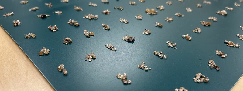 Die Rohdiamanten wurden bei der Einreise entdeckt. (Handout) - Foto: -/Zollfahndungsamt Frankfurt am Main/dpa