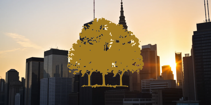 Canopy Growth Shares Surge on U.S. Regulatory Shift - Foto: über boerse-global.de