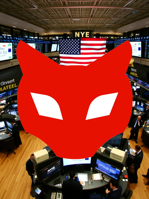 Red Cat Owner Red Cat’s New Leadership Team Faces Crucial Investor Test