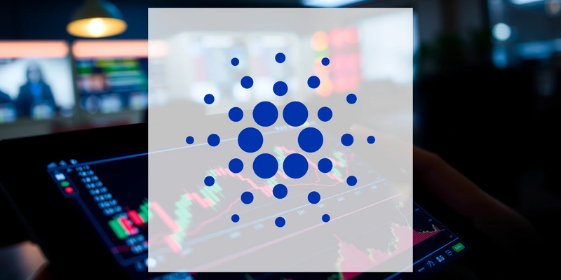Cardano’s Price Plunge Attracts Major Accumulation - Foto: über boerse-global.de
