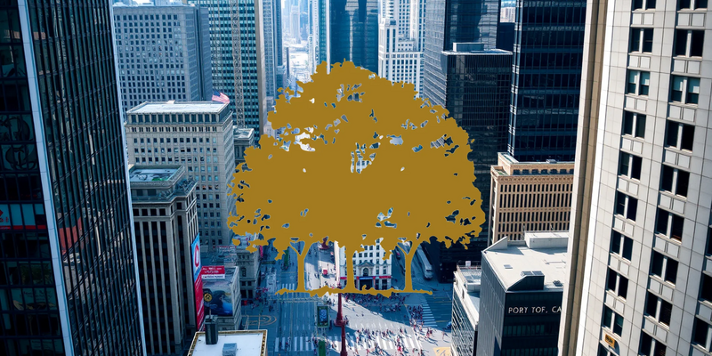 Speculation Over Trump’s Cannabis Policy Ignites Canopy Growth Shares - Foto: über boerse-global.de