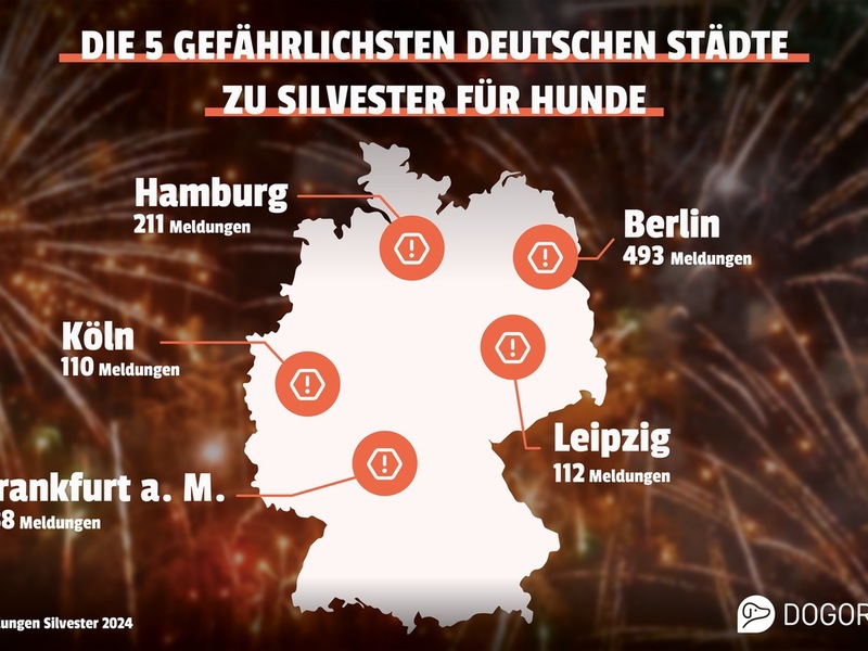 Silvester-Schock für Haustiere: Berlin ist Deutschlands gefährlichste Stadt für Hunde / Zahlen aus vier Jahren offenbaren deutliche Hotspots für entlaufene Hunde - Foto: presseportal.de