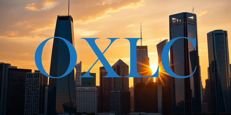 Oxford Lane Capital: La paradoja de un dividendo extraordinario y un patrimonio en descenso - Foto: über boerse-global.de