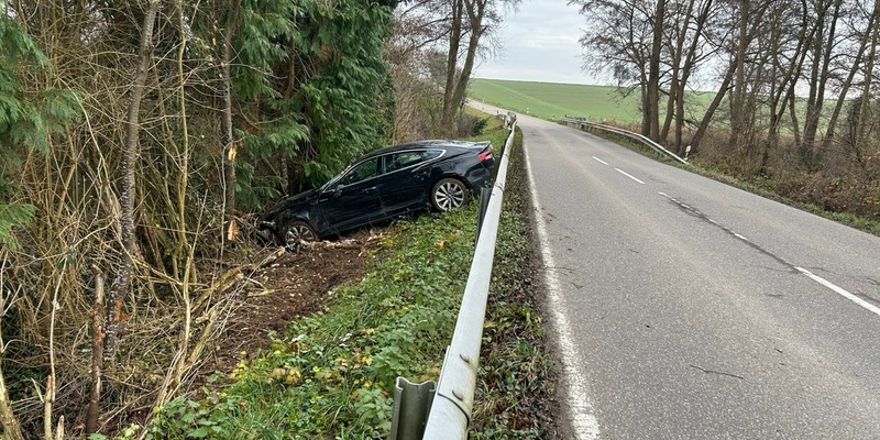 POL-PDLD: L545 bei Niederotterbach - Über die Leitplanke ins Grün - Foto: presseportal.de