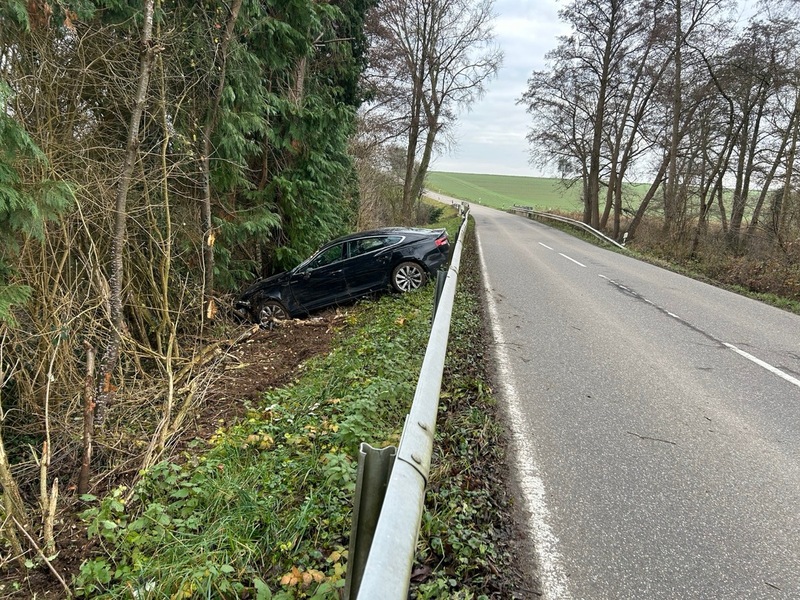 POL-PDLD: L545 bei Niederotterbach - Über die Leitplanke ins Grün - Foto: presseportal.de