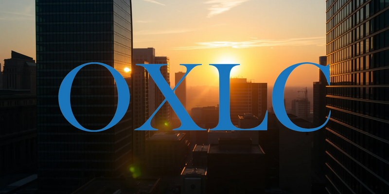 Oxford Lane Capital: La presión del 'ex-dividendo' y el debate sobre su valoración - Foto: über boerse-global.de