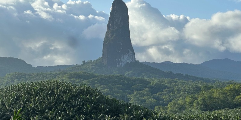 Bundespräsident Steinmeier empfängt ersten Botschafter aus São Tomé und Príncipe in Berlin - Foto: presseportal.de