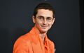 Timothée Chalamet bei der Premiere seines neuen Films Marty Supreme. - Foto: Evan Agostini/Invision/AP/dpa