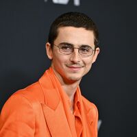 Timothée Chalamet bei der Premiere seines neuen Films Marty Supreme. - Foto: Evan Agostini/Invision/AP/dpa