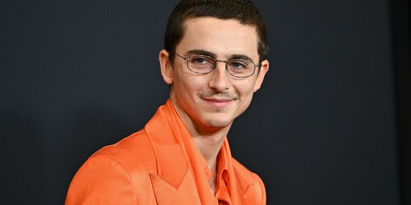 Timothée Chalamet bei der Premiere seines neuen Films Marty Supreme. - Foto: Evan Agostini/Invision/AP/dpa