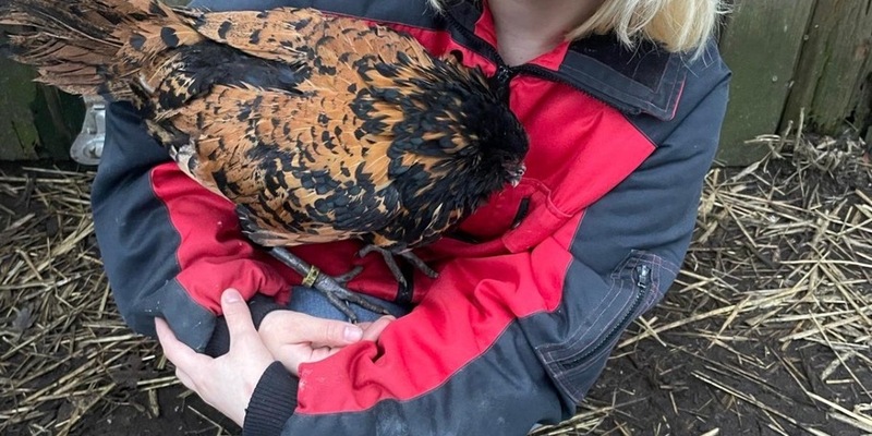 POL-FL: Ellingstedt - Öffentlichkeitsfahndung nach Felina P. - Polizei bittet um Mithilfe - Foto: presseportal.de