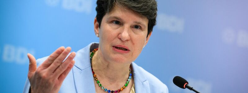  «Die Staats- und Regierungschefs müssen alles dafür tun, damit Mercosur im Januar abgeschlossen wird», so Gönner. (Archivbild) - Foto: Bernd von Jutrczenka/dpa