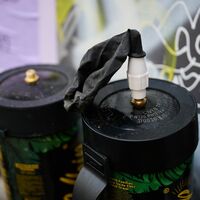 Gelten dürften die neuen Vorgaben wohl ab April 2026. (Symbolbild) - Foto: Annette Riedl/dpa