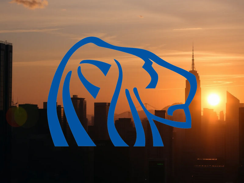 Northern Dynasty Minerals Aktie: Institutionen setzen Signal - Foto: über boerse-global.de