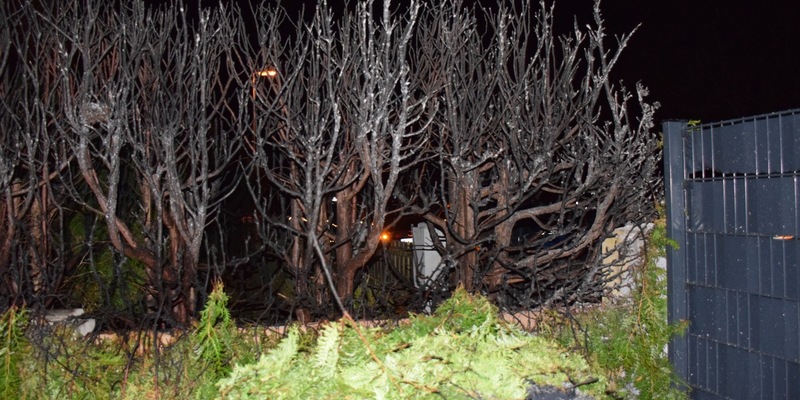POL-HI: Brand einer hohe Zierhecke durch Feuerwerk - Foto: presseportal.de