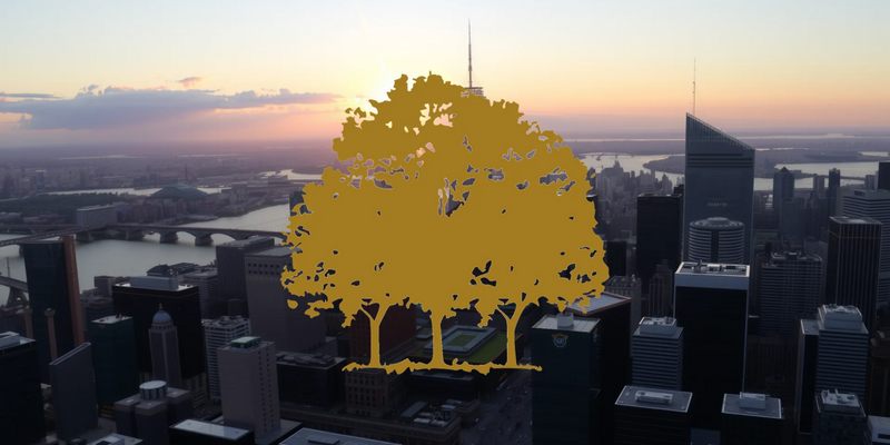 Canopy Growth Shares Consolidate Amid Strategic and Regulatory Shifts - Foto: über boerse-global.de