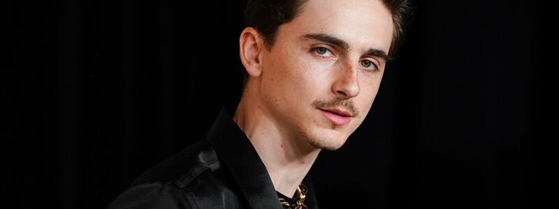 Timothée Chalamet gilt aktuell als einer der gefragtesten Schauspieler Hollywoods (Archivbild). - Foto: Jordan Strauss/Invision/dpa