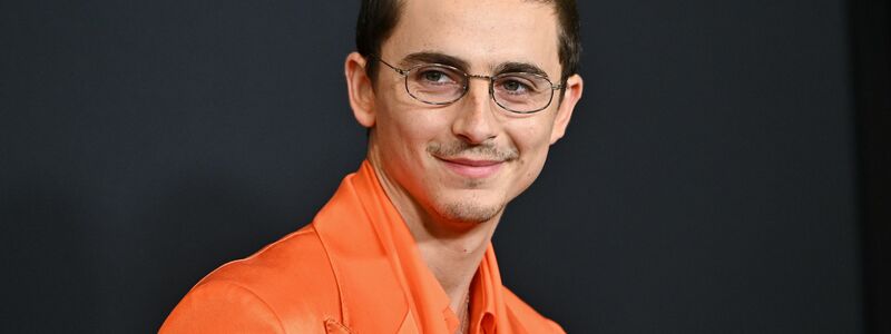 Timothée Chalamet ist bald im neuen Film «Marty Supreme» zu sehen (Archivbild). - Foto: Evan Agostini/Invision/AP/dpa