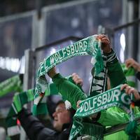 Fans des VfL Wolfsburg (Archiv) - Foto: über dts Nachrichtenagentur