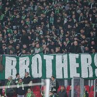 Fans des VfL Wolfsburg (Archiv) - Foto: über dts Nachrichtenagentur