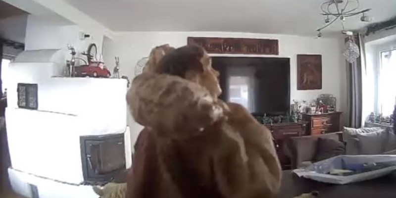 POL-MFR: (1208) Kamera zeigte vermeintlich Einbrecher - Krippenfigur löste Polizeieinsatz aus - Foto: presseportal.de