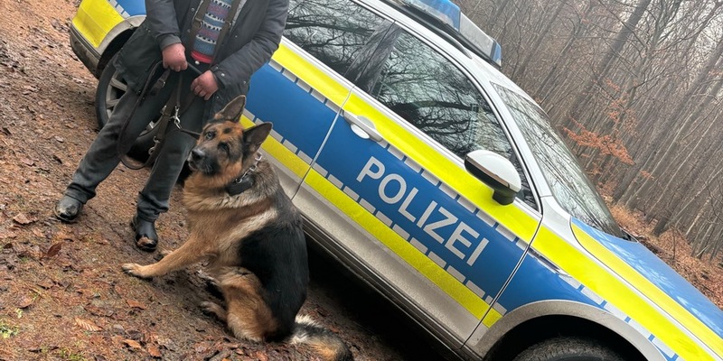 POL-BS: Polizei hilft bei Suche nach Hund - Foto: presseportal.de