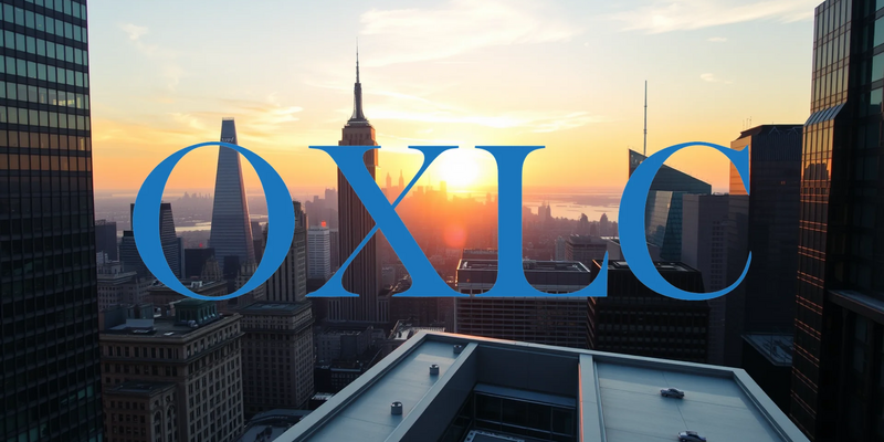 Oxford Lane Capital: Un Dividendo Atractivo en un Mercado Bajista - Foto: über boerse-global.de