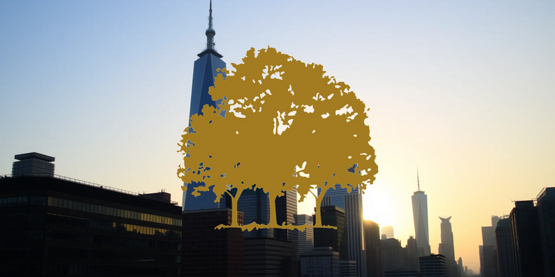 Canopy Growth Shares Face Reality Check as U.S. Regulatory Hopes Narrow - Foto: über boerse-global.de