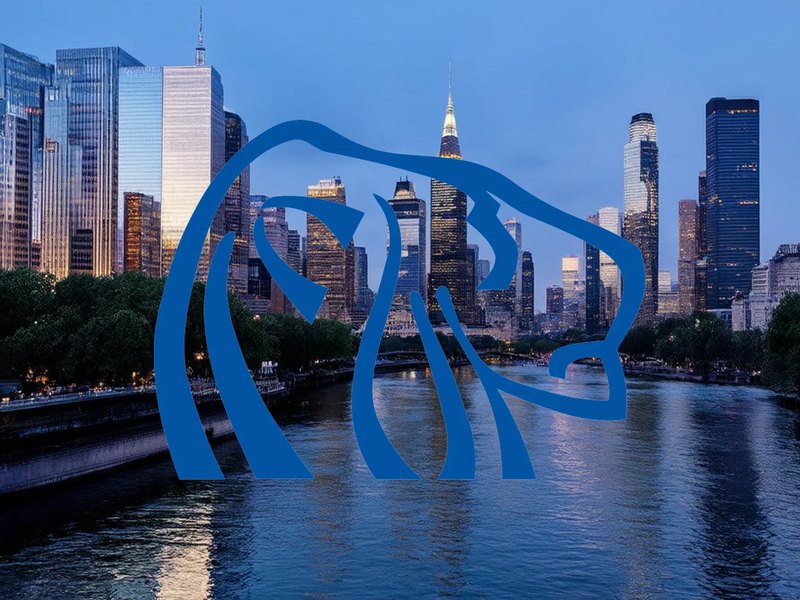 Northern Dynasty Aktie: Analysten stützen - Foto: über boerse-global.de