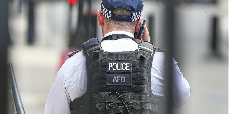 Britischer Polizist (Archiv) - Foto: über dts Nachrichtenagentur