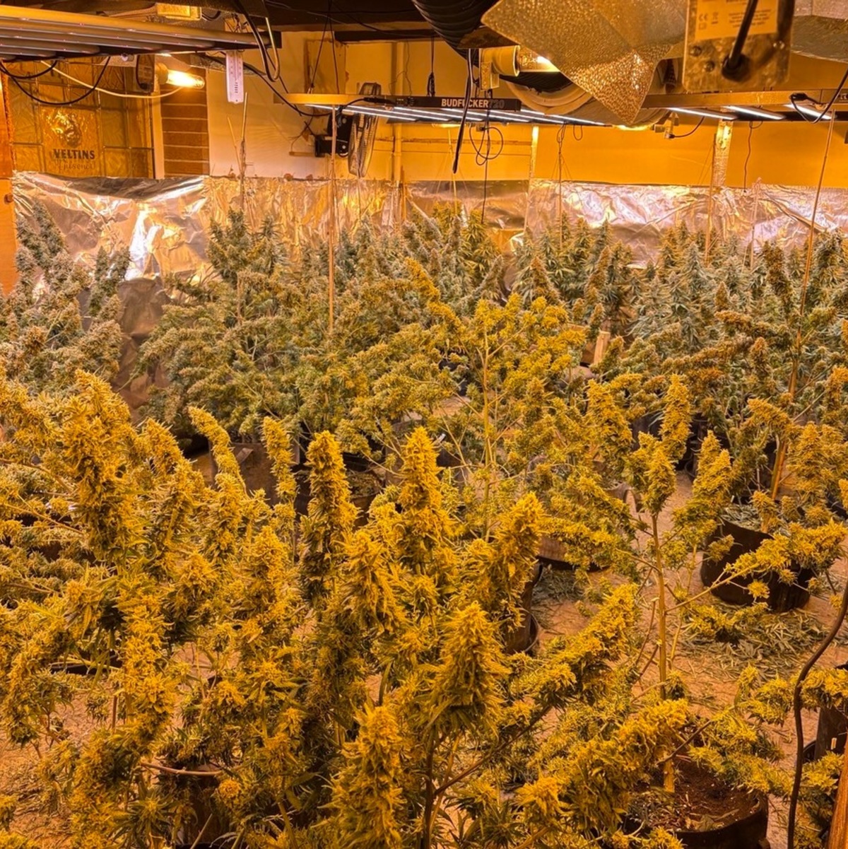 BPOL-AKAD: Bundespolizisten sammeln Spenden für Obdachlose - Foto: presseportal.de