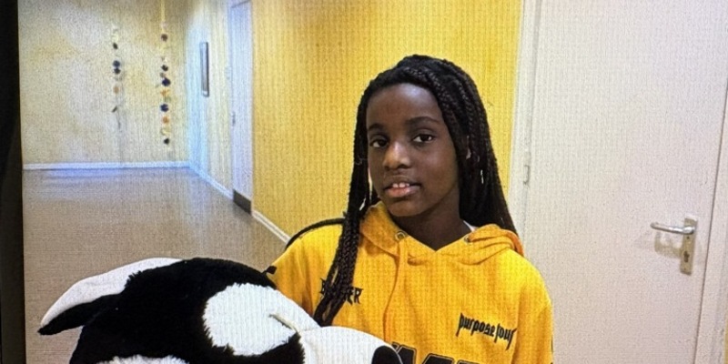 POL-HH: 251223-1. Vermisstenfahndung nach elfjährigem Mädchen aus Hamburg-Bergedorf - Foto: presseportal.de