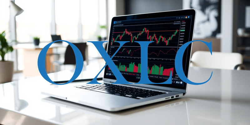 Oxford Lane Capital Aktie: Starke Bilanz überzeugt - Foto: über boerse-global.de