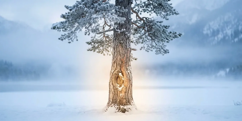 Milz 9: TCM-Akupressur gegen winterliche Knieschmerzen - Foto: über boerse-global.de