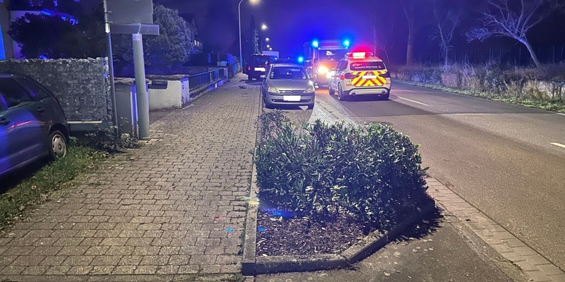 POL-PDLD: Edenkoben Weinstraße - Tödlicher Verkehrsunfall auf L512 - Foto: presseportal.de