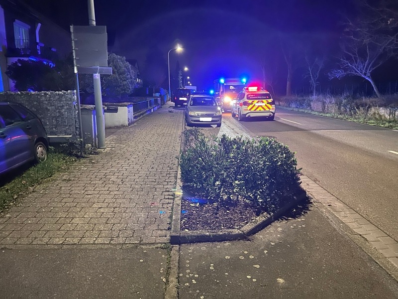 POL-PDLD: Edenkoben Weinstraße - Tödlicher Verkehrsunfall auf L512 - Foto: presseportal.de