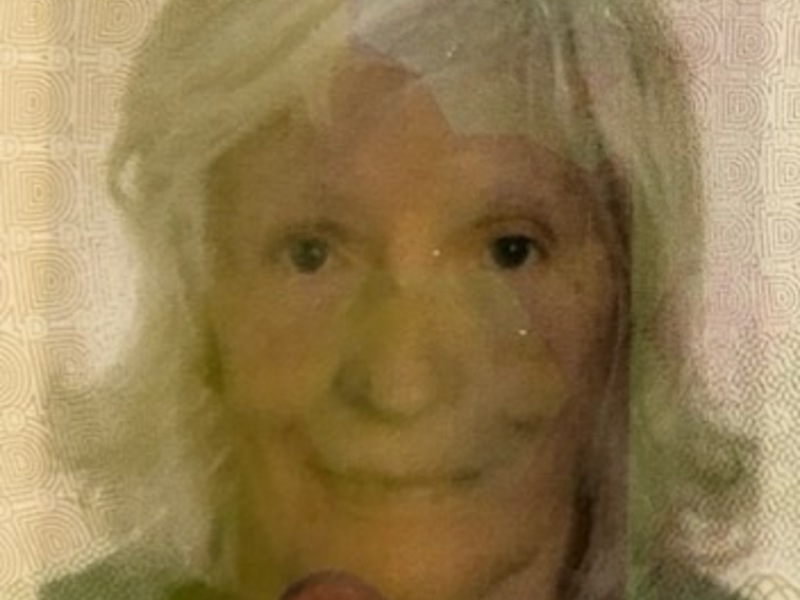 POL-PDLD: Öffentlichkeitsfahndung nach vermisster 80-Jähriger - Foto: presseportal.de