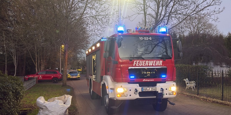 FW-AUR: In Wohngebiet mit Baum kollidiert - Foto: presseportal.de