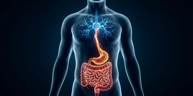 Brain-First-Ansatz dominiert Reizdarm-Therapie - Foto: über boerse-global.de