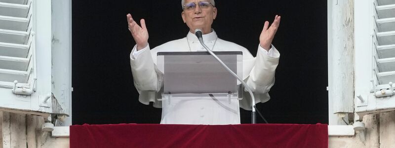 Der Papst mahnte vor dem Angelus-Gebet am zweiten Weihnachtstag erneut zum Engagement zum Frieden. - Foto: Gregorio Borgia/AP/dpa