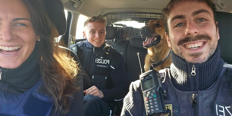 POL-PDNW: Autobahnpolizei Ruchheim - Hund läuft über BAB 61 - Foto: presseportal.de