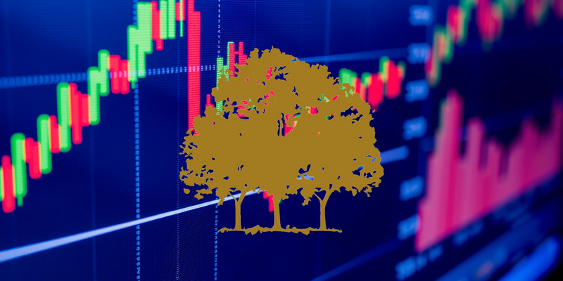 Canopy Growth Shares Find Support at Key Technical Level - Foto: über boerse-global.de