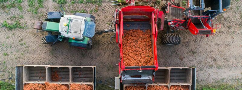 Der Öko-Anteil an der Agrarfläche wächst nur sehr langsam. (Archivbild) - Foto: Julian Stratenschulte/dpa
