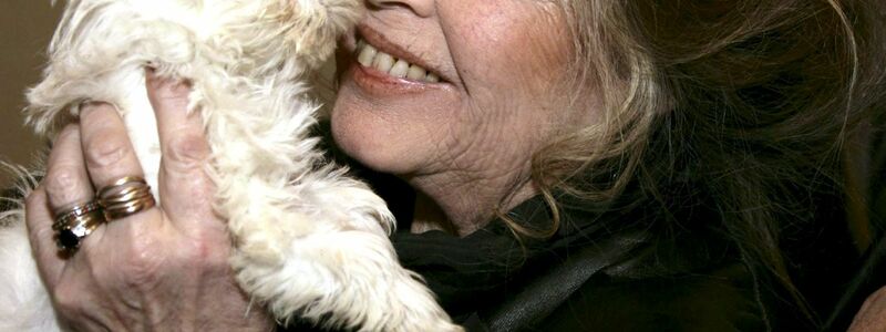 Mit rund 40 Jahren zog Bardot sich abrupt aus dem Filmgeschäft zurück.  - Foto: Sipa Bebert/epa/dpa