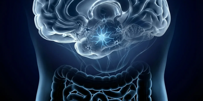 NU-9: Neuer Wirkstoff stoppt Alzheimer-Prozesse im Gehirn - Foto: über boerse-global.de