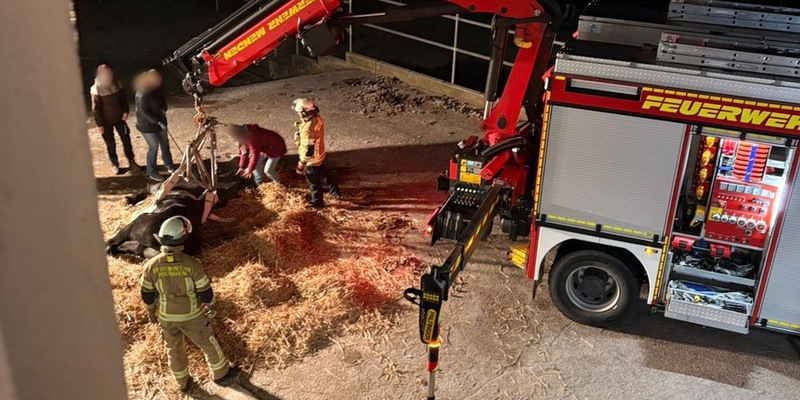 FW Menden: Feuerwehr unterstützt bei Rettung eines gestürzten Pferdes - Foto: presseportal.de